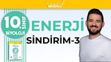Sindirim Adaptasyonları video önizlemesi