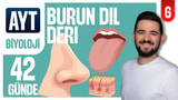6.Gün: Burun Dil Deri video önizlemesi