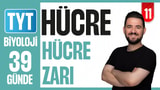 11.Gün: Hücre - Hücre Zarı video önizlemesi