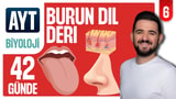 6.Gün: Burun Dil Deri video önizlemesi