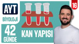 16.Gün: Kan Yapısı ve Lenf Dolaşımı video önizlemesi