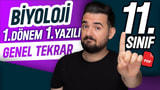 Biyoloji Yazılı Genel Tekrarı video önizlemesi