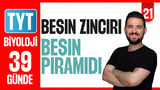 21.Gün: Besin Zinciri Besin Piramidi video önizlemesi