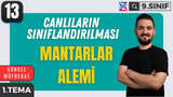 Mantarlar Alemi video önizlemesi