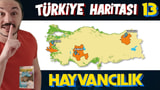 TÜRKİYE'DE HAYVANCILIK video önizlemesi