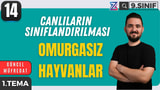 Omurgasız Hayvanlar video önizlemesi