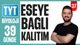 37.Gün: Eşeye Bağlı Kalıtım video önizlemesi