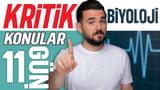 11.Gün: Kalıtım-Çaprazlamalar-Kan Grupları video önizlemesi