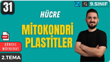 Mitokondri Plastitler video önizlemesi