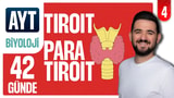 4.Gün: Tiroit Paratiroit video önizlemesi