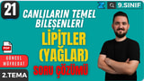 Lipitler (Yağlar) Soru Çözümü video önizlemesi