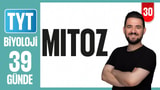 30.Gün: Mitoz Konu Anlatımı video önizlemesi