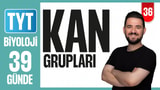 36.Gün: Kan Grupları video önizlemesi