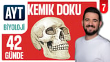 7.Gün: Kemik Doku video önizlemesi