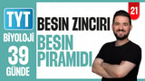 21.Gün: Besin Zinciri Besin Piramidi video önizlemesi