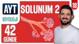 18.Gün: Solunum Gazlarının Taşınması Soru Çözümü video önizlemesi