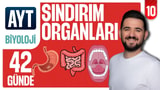 10.Gün: Sindirim Organları video önizlemesi