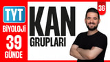 36.Gün: Kan Grupları video önizlemesi