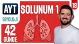 18.Gün: Solunum Sistemi - Soru Çözümü video önizlemesi