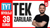 15.Gün: Tek Zarlı Organeller video önizlemesi