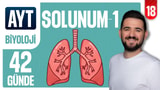 18.Gün: Solunum Sistemi - Solunum Organları video önizlemesi