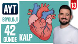 14.Gün: Kalp video önizlemesi