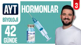 3.Gün: Endokrin Sistem - Hormonlar video önizlemesi
