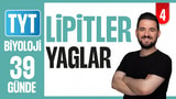 4.Gün: Lipitler(Yağlar) video önizlemesi