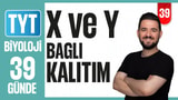 39.Gün: X ve Y'ye Bağlı Kalıtım video önizlemesi