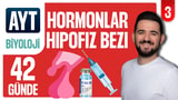 3.Gün: Endokrin bezler - Hipofiz bezi video önizlemesi