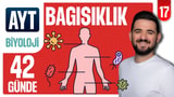 17.Gün: Bağışıklık Sistemi Soru Çözümü video önizlemesi