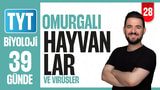 28.Gün: Omurgalı Hayvanlar ve Virüsler video önizlemesi