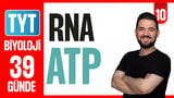 10.Gün: RNA ATP video önizlemesi
