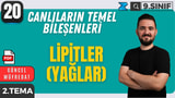 Lipitler (Yağlar) video önizlemesi