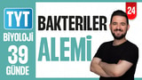 24.Gün: Bakteriler Alemi video önizlemesi
