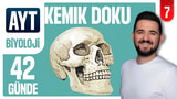 7.Gün: Kemik Doku video önizlemesi