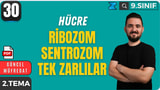 Ribozom Sentrozom Tek Zarlı Organeller video önizlemesi