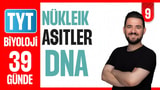 9.Gün: DNA video önizlemesi