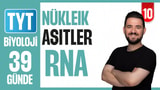 10.Gün: RNA video önizlemesi