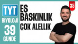 35.Gün: Eş baskınlık Çok Alellik video önizlemesi