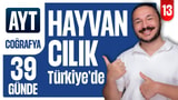 13.Gün:Türkiye'de Hayvancılık video önizlemesi