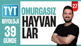 27.Gün: Omurgasız Hayvanlar video önizlemesi
