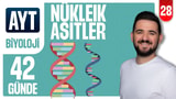 28.Gün: Nükleik Asitler, Replikasyon video önizlemesi