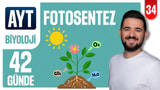 34.Gün: Fotosentez Özet video önizlemesi