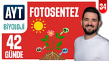 34.Gün: Fotosentez Soru Çözümü video önizlemesi