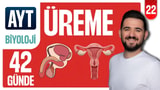 22.Gün: Erkek ve Dişi Üreme Sistemi Soru Çözümü video önizlemesi