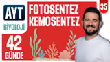 35.Gün: Fotosentez Kemosentez Soru Çözümü video önizlemesi