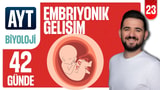 23.Gün: Embriyonik Gelişim- Soru Çözümü video önizlemesi