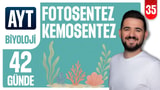 35.Gün: Fotosentez Kemosentez video önizlemesi
