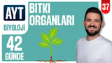 37.Gün: Bitki Organları video önizlemesi